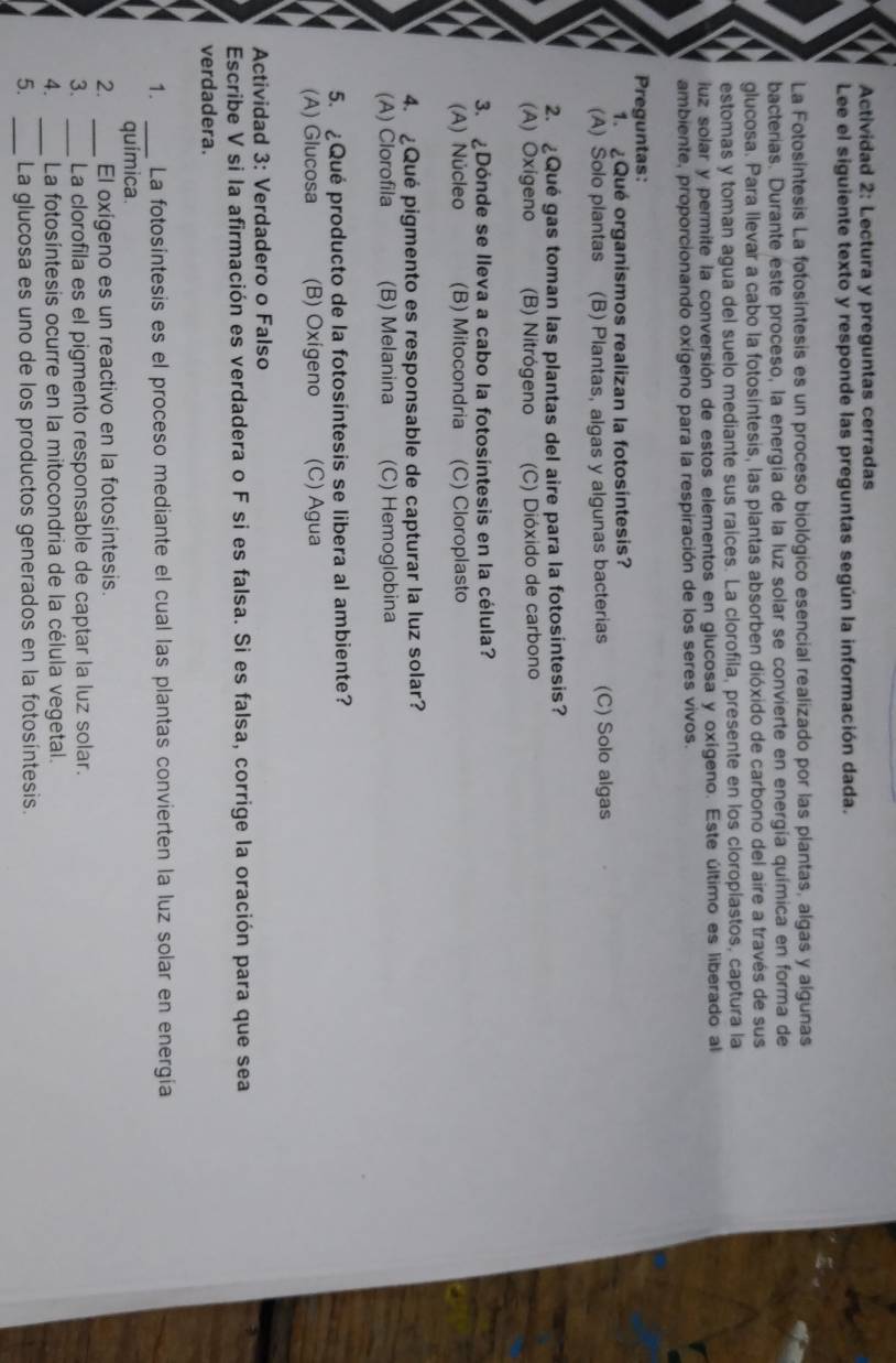 Actividad 2: Lectura y preguntas cerradas
Lee el siguiente texto y responde las preguntas según la información dada.
La Fotosíntesis La fotosíntesis es un proceso biológico esencial realizado por las plantas, algas y algunas
bacterias. Durante este proceso, la energía de la luz solar se convierte en energía química en forma de
glucosa. Para llevar a cabo la fotosíntesis, las plantas absorben dióxido de carbono del aire a través de sus
estomas y toman agua del suelo mediante sus raíces. La clorofila, presente en los cloroplastos, captura la
luz solar y permite la conversión de estos elementos en glucosa y oxígeno. Este último es liberado al
ambiente, proporcionando oxígeno para la respiración de los seres vivos.
Preguntas:
1. ¿Qué organismos realizan la fotosintesis?
(A) Solo plantas (B) Plantas, algas y algunas bacterias (C) Solo algas
2. ¿Qué gas toman las plantas del aire para la fotosintesis?
(A) Oxigeno (B) Nitrógeno (C) Dióxido de carbono
3. ¿Dónde se lleva a cabo la fotosíntesis en la célula?
(A) Núcleo (B) Mitocondria (C) Cloroplasto
4. ¿Qué pigmento es responsable de capturar la luz solar?
(A) Clorofila (B) Melanina (C) Hemoglobina
5. ¿Qué producto de la fotosintesis se libera al ambiente?
(A) Glucosa (B) Oxigeno (C) Agua
Actividad 3: Verdadero o Falso
Escribe V si la afirmación es verdadera o F si es falsa. Si es falsa, corrige la oración para que sea
verdadera.
1. _La fotosíntesis es el proceso mediante el cual las plantas convierten la luz solar en energía
química.
2. _El oxigeno es un reactivo en la fotosintesis.
3. _La clorofila es el pigmento responsable de captar la luz solar.
_
4. La fotosíntesis ocurre en la mitocondria de la célula vegetal.
5. _La glucosa es uno de los productos generados en la fotosíntesis.