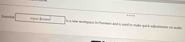 sental 
Input Answe is a new workspace in Premiere and is used to make quick adjustments on audio.