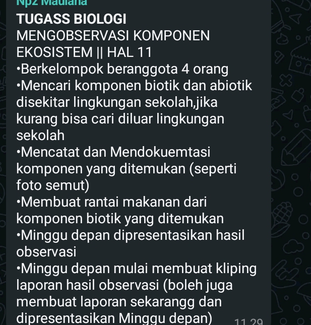 Np2 Maulana 
TUGASS BIOLOGI 
MENGOBSERVASI KOMPONEN 
EKOSISTEM || HAL 11 
•Berkelompok beranggota 4 orang 
•Mencari komponen biotik dan abiotik 
disekitar lingkungan sekolah,jika 
kurang bisa cari diluar lingkungan 
sekolah 
•Mencatat dan Mendokuemtasi 
komponen yang ditemukan (seperti 
foto semut) 
•Membuat rantai makanan dari 
komponen biotik yang ditemukan 
•Minggu depan dipresentasikan hasil 
observasi 
•Minggu depan mulai membuat kliping 
laporan hasil observasi (boleh juga 
membuat laporan sekarangg dan 
dipresentasikan Minggu depan) 11 2ª