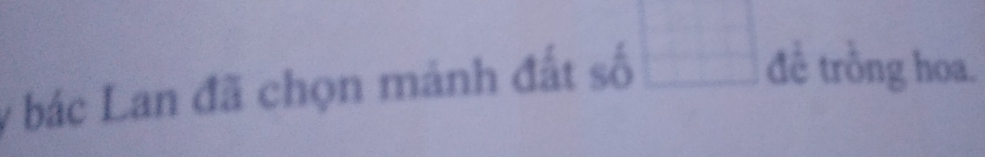 bác Lan đã chọn mảnh đất số □ đề trồng hoa.