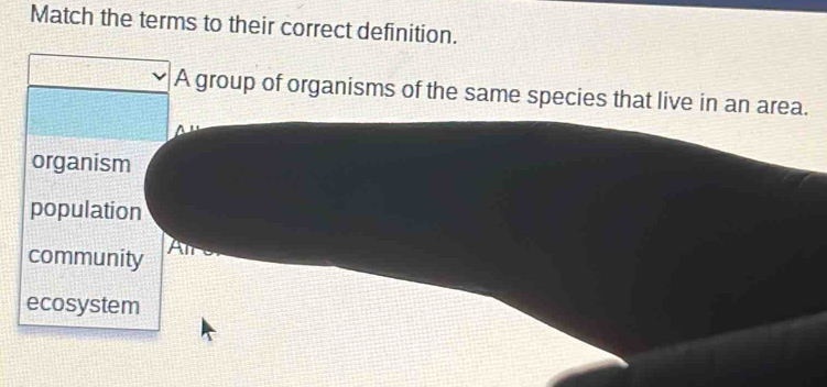 Solved: Match the terms to their correct definition. A group of ...