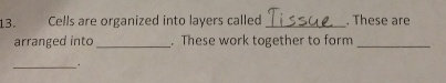 Cells are organized into layers called _. These are 
arranged into _. These work together to form_ 
_