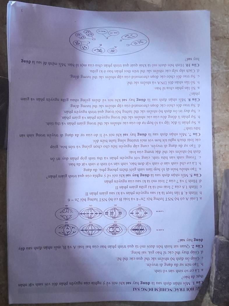 Ấu hội trác nghiệm đúng sai
Câu 1. Mỗi nhận định sau là đúng hay sai khi nói về ý nghĩa của nguyên phần đối với sinh vật nhân
thực đa bào?
a. Là cơ sở sinh sản vô tính.
b. Tạo nên sự đa dạng di truyền.
c. Giúp ổn định bộ nhiễm sắc thể qua các thế hệ.
d. Giúp thay thể các tế bào già, sai hóng.
Câu 2. Quan sát hình bên dưới mô tả quá trình phân bảo của hai loài A và B, mỗi nhận định sau đây
dúng hay sai?
a. Loài A có bộ NST lưỡng bội 2n=4 và loài B có bộ NST lưỡng bội 2n=6
b. Hình 4, 8 lần lượt là kì sau nguyên phân và kì sau giảm phân II
c. Hình 1,6 của 2 loài mô tả kì giữa giảm phân II
d. Hình 3 và 7 của 2 loài mô tả kì sau của nguyên phân
Câu 5. Mỗi nhận định sau là đúng hay sai khi nói về ý nghĩa của quá trình giảm phần?
a. Tạo nhiều biến dị tổ hợp làm sinh giới thêm phong phú, đa dạng.
b. Là cơ chế sinh sản ở sinh vật đơn bảo, sinh sản vô tính ở sinh vật đa bào.
c. Trong sinh sản hữu tính, cùng với nguyên phân và thụ tinh góp phần duy trì ổn
định bộ nhiễm sắc thể đặc trưng của loài.
d. Tao sự đa dạng di truyền, cung cấp nguyên liệu cho chọn giống và tiến hóa, giúp
các loài thích nghỉ tốt hơn với môi trường sống luôn biển đổi.
Câu 7. Mỗi nhận định sau là đứng hay sai khi nói ve : lí do của sự đa dạng đi truyền trong sinh sản
hữu tính?
a. Sự phân li độc lập và tổ hợp tự do của các nhiễm sắc thể trong giảm phân và thụ tỉnh,
b. Sự phân li đồng đều của các nhiễm sắc thể trong nguyên phản và giảm phân.
c. Sự duy trì ồn định bộ nhiễm sắc thể lưỡng bội trong quả trình nguyên phân
d. Sự trao đổi chéo các đoạn chromatid của cặp nhiễm sắc thể tương đồng.
Câu 8. Mỗi nhận định sau là đúng hay sai khi nói về điễm giống nhau giữa nguyên phân và giảm
phân?
a. Số lần phân chia tế bào.
b. Số lần nhân đôi DNA và nhiễm sắc thể.
c. Sự trao đổi chéo các đoạn chromatid của cặp nhiễm sắc thể tương đồng
d. Cách sắp xếp các nhiễm sắc thể trên thoi phần bào ở ki giữa.
Câu 10. Hình bên dưới mô tả khái quát quá trình phân chia của một tế bảo. Mỗi mệnh để sau là đúng
hay sai?
5