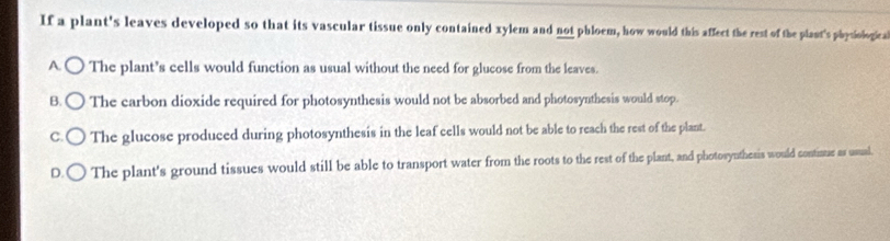 If a plant's leaves developed so that its vascular tissue only contained xylem and not phloem, how would this affect the rest of the plant's physiologica
A The plant’s cells would function as usual without the need for glucose from the leaves.
B. The carbon dioxide required for photosynthesis would not be absorbed and photosynthesis would stop.
C. The glucose produced during photosynthesis in the leaf cells would not be able to reach the rest of the plant.
D. The plant's ground tissues would still be able to transport water from the roots to the rest of the plant, and photosynthesis would continue as usual.