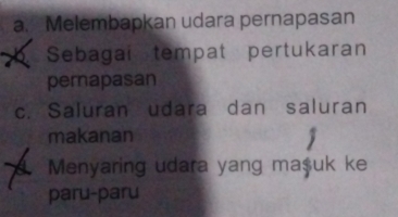 a. Melembapkan udara pernapasan
X Sebagai tempat pertukaran
pernapasan
c. Saluran udara dan saluran
makanan
a Menyaring udara yang ma$uk ke
paru-paru