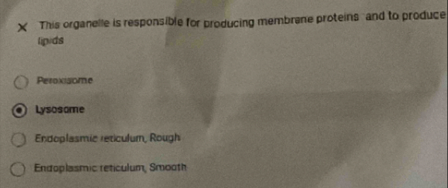 This organelle is responsible for producing membrane proteins and to produce
lipids
Peroxisome
Lysosome
Endoplasmic reticulum, Rough
Endoplasmic reticulum, Smooth