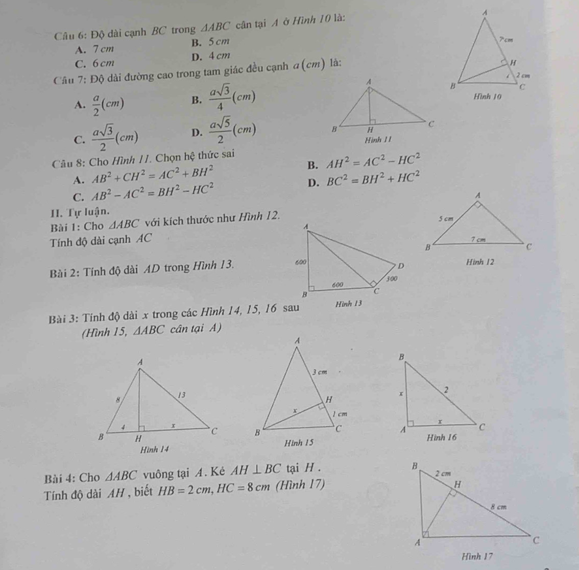 Độ dài cạnh BC trong △ ABC cân tại A ở Hình 10 là:
A. 7 cm B. 5 cm
C. 6 cm D. 4 cm
Câu 7: Độ dài đường cao trong tam giác đều cạnh α (cm) là:
A.  a/2 (cm)
B.  asqrt(3)/4 (cm) Hình 10
C.  asqrt(3)/2 (cm) D.  asqrt(5)/2 (cm)
Hình 1 1
Câu 8: Cho Hình 11. Chọn hệ thức sai
B. AH^2=AC^2-HC^2
A. AB^2+CH^2=AC^2+BH^2 BC^2=BH^2+HC^2
C. AB^2-AC^2=BH^2-HC^2
D.
II. Tự luận.
Bài 1: Cho △ ABC với kích thước như Hình 12. 
Tính độ dài cạnh AC
Bài 2: Tính độ dài AD trong Hình 13. 
Hinh 12
Bài 3: Tính độ dài x trong các Hình 14, 15, 16 sau Hình 13
(Hình 15, △ ABC cân tại A)

Hình 15
Hình 14
Bài 4: Cho △ ABC vuông tại A. Kẻ AH⊥ BC tại H. 
Tính độ dài AH , biết HB=2cm, HC=8cm (Hình 17)
Hình 17