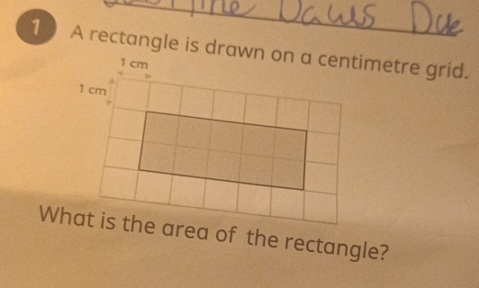 What is the area of the rectangle?