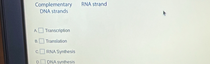 Complementary RNA strand
DNA strands
A □ Transcription
B. □ Translation
C. □ RNA Synthesis
D. □ DNA synthesis