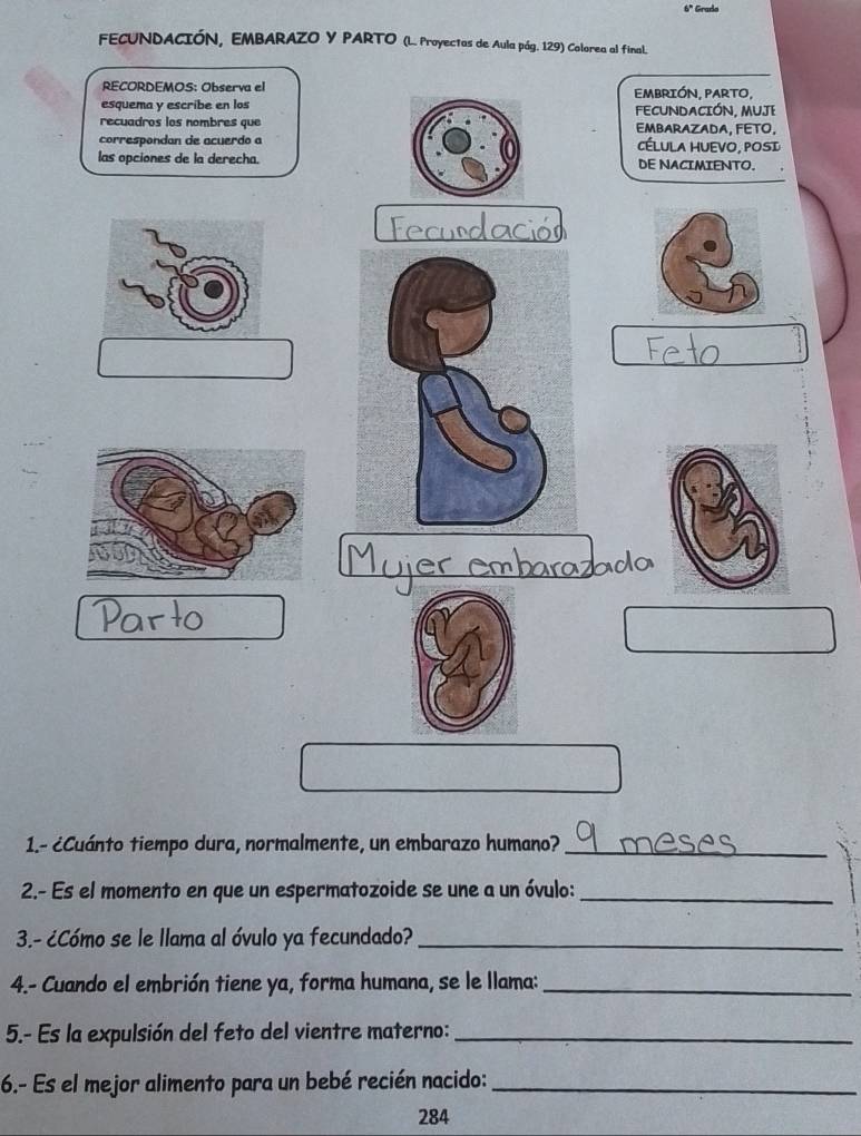 6" Grado 
FECUNDACIÓN, EMBARAZO Y PARTO (L. Proyectas de Aula pág. 129) Colorea al final. 
RECORDEMOS: Observa el EmbriÓn, PARTo, 
esquema y escribe en los FECUNDACIÓN, MUJE 
recuadros los nombres que EMBARAZADA, FETO, 
correspondan de acuerdo a CÉLULA HUEVO, POSI 
las opciones de la derecha. DE NACIMIENTO. 
1.- ¿Cuánto tiempo dura, normalmente, un embarazo humano?_ 
2.- Es el momento en que un espermatozoide se une a un óvulo:_ 
3.- ¿Cómo se le llama al óvulo ya fecundado?_ 
4.- Cuando el embrión tiene ya, forma humana, se le llama:_ 
5.- Es la expulsión del feto del vientre materno:_ 
6.- Es el mejor alimento para un bebé recién nacido:_ 
284