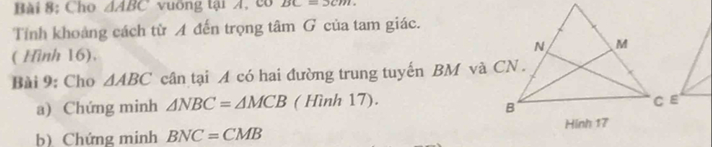 Bài 8; Cho △ ABC vuờng tại A,có BC=2cm. 
Tỉnh khoảng cách từ A đến trọng tâm G của tam giác. 
( Hình 16). 
Bài 9: Cho △ ABC cân tại A có hai đường trung tuyến BM và CN . 
a) Chứng minh △ NBC=△ MCB ( Hình 17). 
b) Chứng minh BNC=CMB