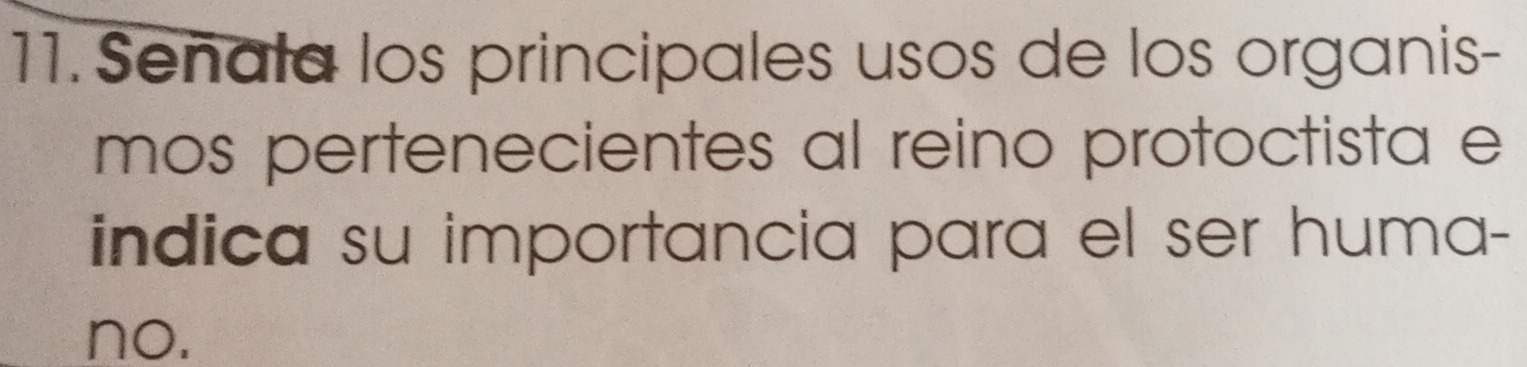 Señala los principales usos de los organis- 
mos pertenecientes al reino protoctista e 
indica su importancia para el ser huma- 
no.