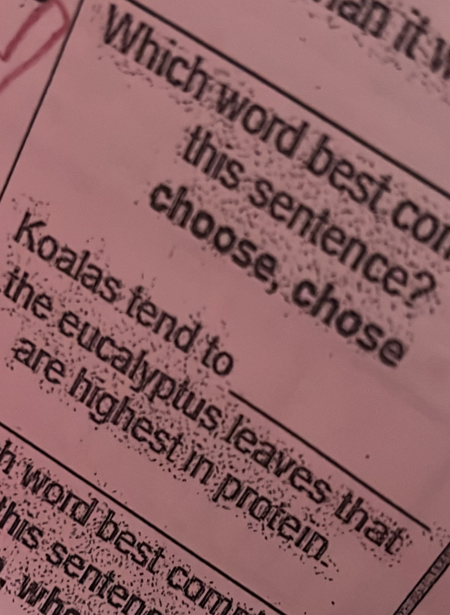 an it 
Vhich word best c 
his sentence . 
choose, chos, 
Koalas tend t 
e eucalyptus leaves th 
re highest in prote 
word best con 
his senter_ 
who