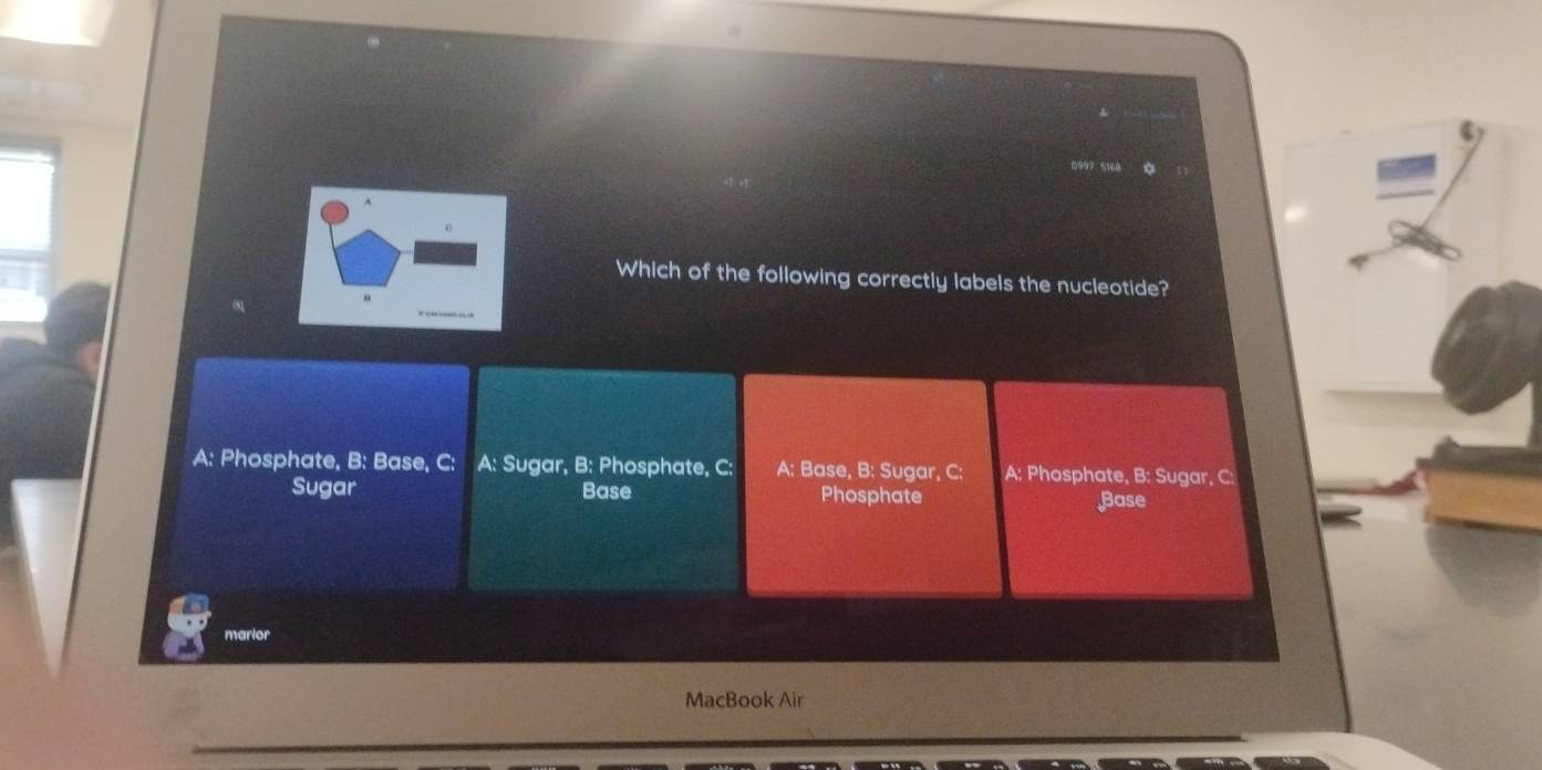 Which of the following correctly labels the nucleotide?
A: Phosphate, B: Base, C: A: Sugar, B: Phosphate, C: A: Base, B: Sugar, C: A: Phosphate, B: Sugar, C:
Sugar Base Phosphate Base
marlor
MacBook Air