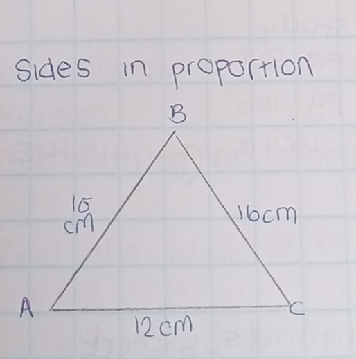 sides in proportion