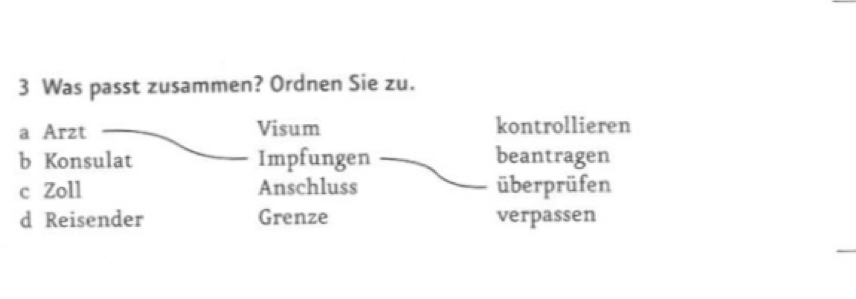 Was passt zusammen? Ordnen Sie zu.
a Arzt Visum kontrollieren
b Konsulat Impfungen beantragen
c Zoll Anschluss überprüfen
d Reisender Grenze verpassen