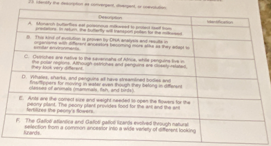 Identify the description as convergent, divergent, or coevoluti