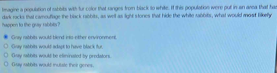 Imagine a population of rabbits with fur color that ranges from black to white. If this population were put in an area that ha
dark rocks that camouflage the black rabbits, as well as light stones that hide the white rabbits, what would most likely
happen to the gray rabbits?
Gray rabbits would blend into either environment.
Gray rabbits would adapt to have black fur,
Gray rabbits would be eliminated by predators.
Gray rabbits would mutate their genes.