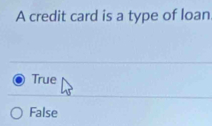 A credit card is a type of loan
True
False