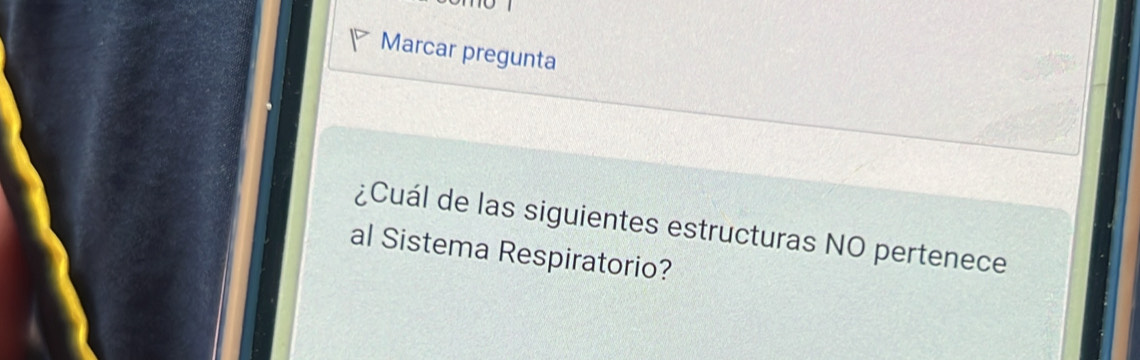 Marcar pregunta 
¿Cuál de las siguientes estructuras NO pertenece 
al Sistema Respiratorio?