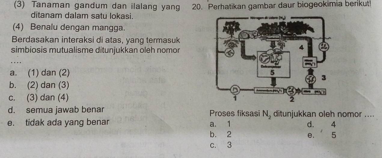 (3) Tanaman gandum dan ilalang yang 20. Perhatikan gambar daur biogeokimia berikut!
ditanam dalam satu lokasi. 
(4) Benalu dengan mangga.
Berdasakan interaksi di atas, yang termasuk
simbiosis mutualisme ditunjukkan oleh nomor
a. (1) dan (2)
b. (2) dan (3)
c. (3) dan (4)
d. semua jawab benar Proses fiksasi N_2 ditunjukkan oleh nomor ....
e. tidak ada yang benar a. 1 4
d.
b. 2 e. 5
c. 3