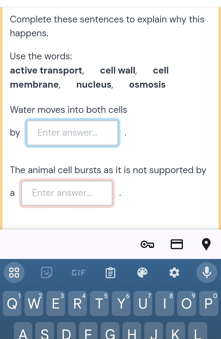 Complete these sentences to explain why this 
happens. 
Use the words: 
active transport, cell wall, cell 
membrane, nucleus, osmosis 
Water moves into both cells 
by Enter answer... 
The animal cell bursts as it is not supported by 
a Enter answer... 
C 0
GIF^6 7 8 9
1 I 3 □° 5 □
/wedge / E 
A S D F G H J K