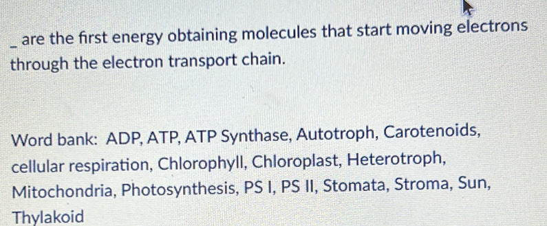 are the first energy obtaining molecules that start moving electrons 
through the electron transport chain. 
Word bank: ADP, ATP, ATP Synthase, Autotroph, Carotenoids, 
cellular respiration, Chlorophyll, Chloroplast, Heterotroph, 
Mitochondria, Photosynthesis, PS I, PS II, Stomata, Stroma, Sun, 
Thylakoid