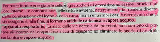 Per poter fornire energia alle cellule, gli zuccheri e i grassi devono essere “bruciati” al 
loro interno. La combustione nelle cellule avviene, naturalmente, in maniera diversa 
dalla combustione del legno o della carta, ma in entrambi i casi è necessario che el 
sia ossigeno e, alla fine, si formano anidride carbonica e vapore acqueo. 
Lapparato respiratorio, formato dalle vie aeree e dai polmoni, ha il compito di por- 
tare all'interno del corpo l'aria ricca di ossigeno ed eliminare le scorie di anidride 
carbonica e vapore acqueo.