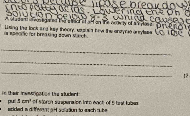 A student investigated the effect of pH on the activity of amylase. 
Using the lock and key theory, explain how the enzyme amylase 
is specific for breaking down starch. 
_ 
_ 
_ 
(2 
In their investigation the student: 
put 5cm^3 of starch suspension into each of 5 test tubes 
added a different pH solution to each tube