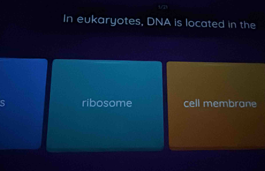 5/21 
In eukaryotes, DNA is located in the 
S ribosome cell membrane