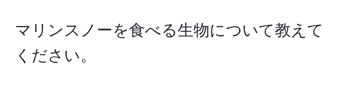 マリンスノーを食べる生物について教えてください。