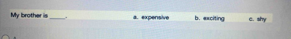 My brother is _. a. expensive b. exciting c. shy