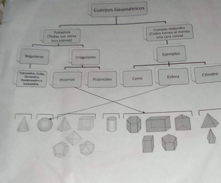 Cuerpos Geométricos 
Cuerpos redondos 
Políedros 
(Todos tienen al menos 
(Todas sus carás 
son pianas) una cara curva) 
Regulares Irregulares 
Ejemplos 
Tetreedro, Cuba, 
Cilindro 
Octaedro 
Dodecaedro e Prismas Pirámides Cono Esfera 
icosaedro.