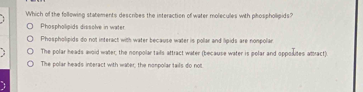 Which of the following statements describes the interaction of water molecules with phospholipids?
Phospholipids dissolve in water.
Phospholipids do not interact with water because water is polar and lipids are nonpolar
The polar heads avoid water; the nonpolar tails attract water (because water is polar and oppoxites attract).
The polar heads interact with water; the nonpolar tails do not.