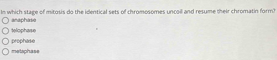 In which stage of mitosis do the identical sets of chromosomes uncoil and resume their chromatin form?
anaphase
telophase
prophase
metaphase