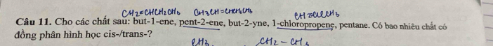 Cho các chất sau: but -1 -ene, pent -2 -ene, but -2 -yne, 1 -chloropropene, pentane. Có bao nhiêu chất có 
đồng phân hình học cis-/trans-?