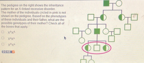 Solved: The pedigree on the right shows the inheritance pattern for an ...