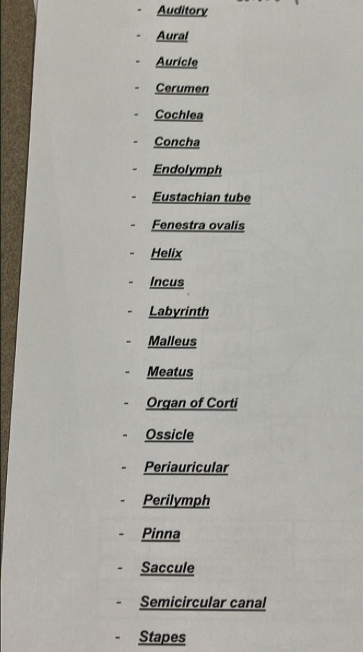 Auditory 
Aural 
Auricle 
Cerumen 
Cochlea 
Concha 
Endolymph 
Eustachian tube 
Fenestra ovalis 
Helix 
Incus 
Labyrinth 
Malleus 
Meatus 
Organ of Corti 
Ossicle 
Periauricular 
Perilymph 
Pinna 
Saccule 
Semicircular canal 
Stapes