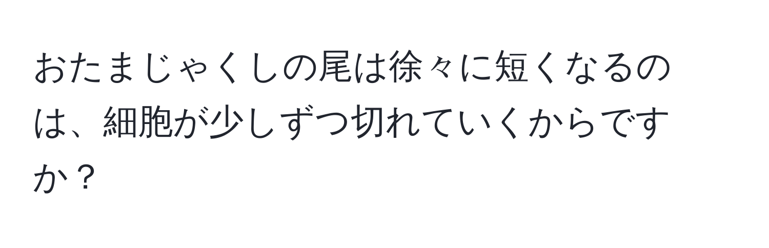 おたまじゃくしの尾は徐々に短くなるのは、細胞が少しずつ切れていくからですか？