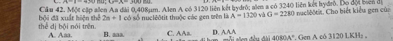 A-1=430 n u= G=x=300nu. 
Cầu 42. Một cặp alen Aa dài 0,408µm. Alen A có 3120 liên kết bydrô; alen a có 3240 liên kết hydrô. Do đột bien đị
bội đã xuất hiện thể 2n+1 có số nuclêôtit thuộc các gen trên là A=1320 và G=2280 nuclêôtit. Cho biết kiểu gen của
thể dị bội nói trên.
A. Aaa. B. aaa. C. AAa. a , mỗi also đều đài D. AAA 4080A°. Gen A có 3120 LF H_2