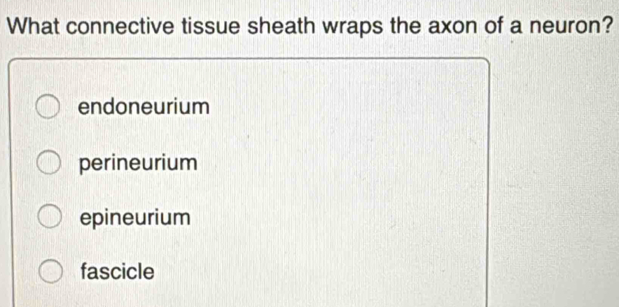 What connective tissue sheath wraps the axon of a neuron?
endoneurium
perineurium
epineurium
fascicle