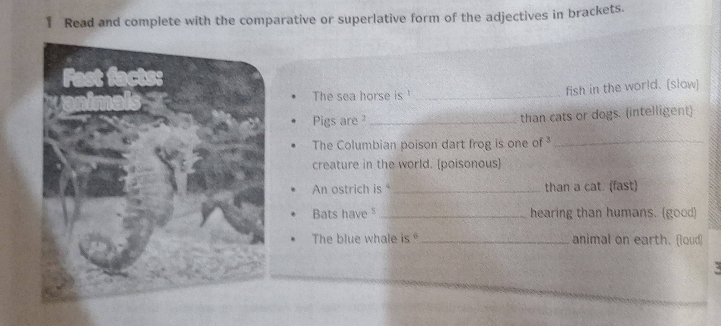 Read and complete with the comparative or superlative form of the adjectives in brackets. 
The sea horse is '_ 
fish in the world. (slow) 
Pigs are ?_ 
than cats or dogs. (intelligent) 
The Columbian poison dart frog is one of³_ 
creature in the world. (poisonous) 
An ostrich is _than a cat. (fast) 
Bats have _hearing than humans. (good) 
The blue whale is _animal on earth. (loud)