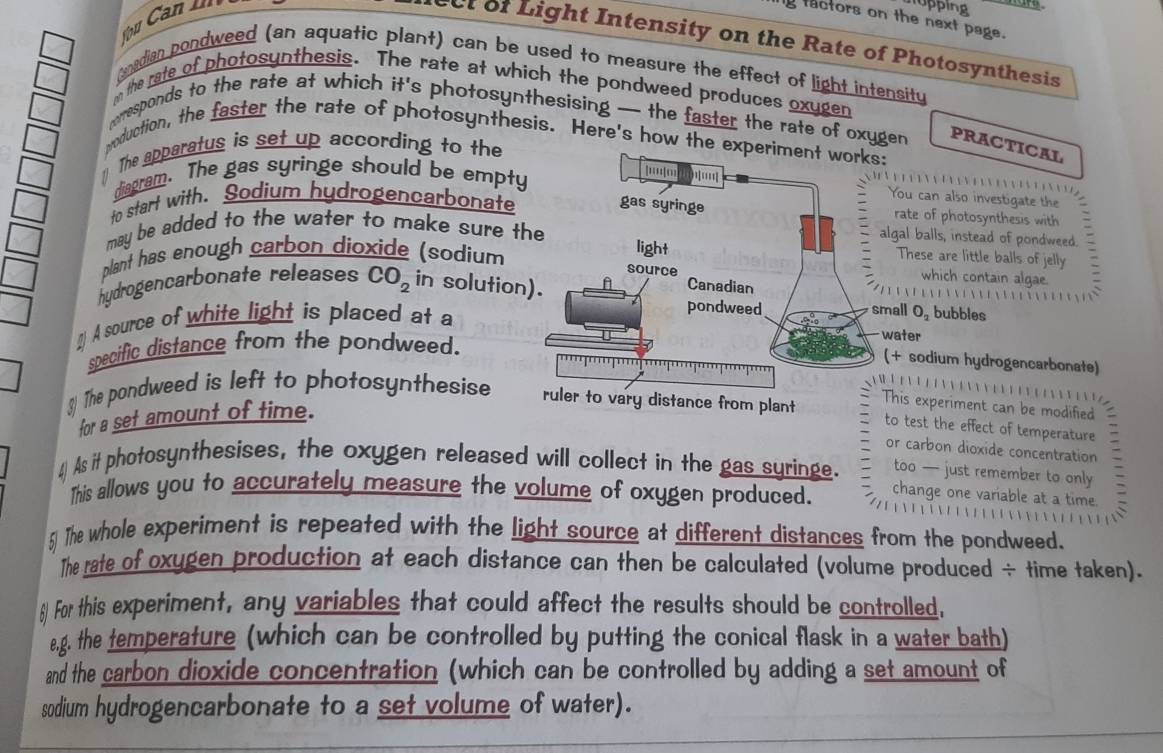 Can ' 
rupping 
tactors on the next page. 
ot of Light Intensity on the Rate of Photosynthesis 
unedian pondweed (an aquatic plant) can be used to measure the effect of light intensitu 
the rate of photosynthesis. The rate at which the pondweed produces oxugen 
oesponds to the rate at which it's photosynthesising — the faster the rate of oxygen PRACTICAL 
voduction, the faster the rate of photosynthesis. Here's how the e: 
(] The apparatus is set up according to the 
diagram. The gas syringe should be empty 

to start with. Sodium hydrogencarbonate 
You can also investigate the 
rate of photosynthesis with 
may be added to the water to make sure th 
lgal balls, instead of pondweed. 
plant has enough carbon dioxide (sodium 
These are little balls of jelly 
which contain algae. 
hydrogencarbonate releases CO_2 in solution 
mall 
7 A source of white light is placed at a O_2 bubbles 
specific distance from the pondweed. 
water 
(+ sodium hydrogencarbonate) 

§ The pondweed is left to photosynthesise 
This experiment can be modified 
for a set amount of time. 
to test the effect of temperature 
or carbon dioxide concentration 
4 As it photosynthesises, the oxygen released will collect in the gas syringe. too — just remember to only 
This allows you to accurately measure the volume of oxygen produced. change one variable at a time. 
2 The whole experiment is repeated with the light source at different distances from the pondweed. 
The rate of oxygen production at each distance can then be calculated (volume produced ÷ time taken). 
6) For this experiment, any variables that could affect the results should be controlled. 
e,g. the temperature (which can be controlled by putting the conical flask in a water bath) 
and the carbon dioxide concentration (which can be controlled by adding a set amount of 
sodium hydrogencarbonate to a set volume of water).