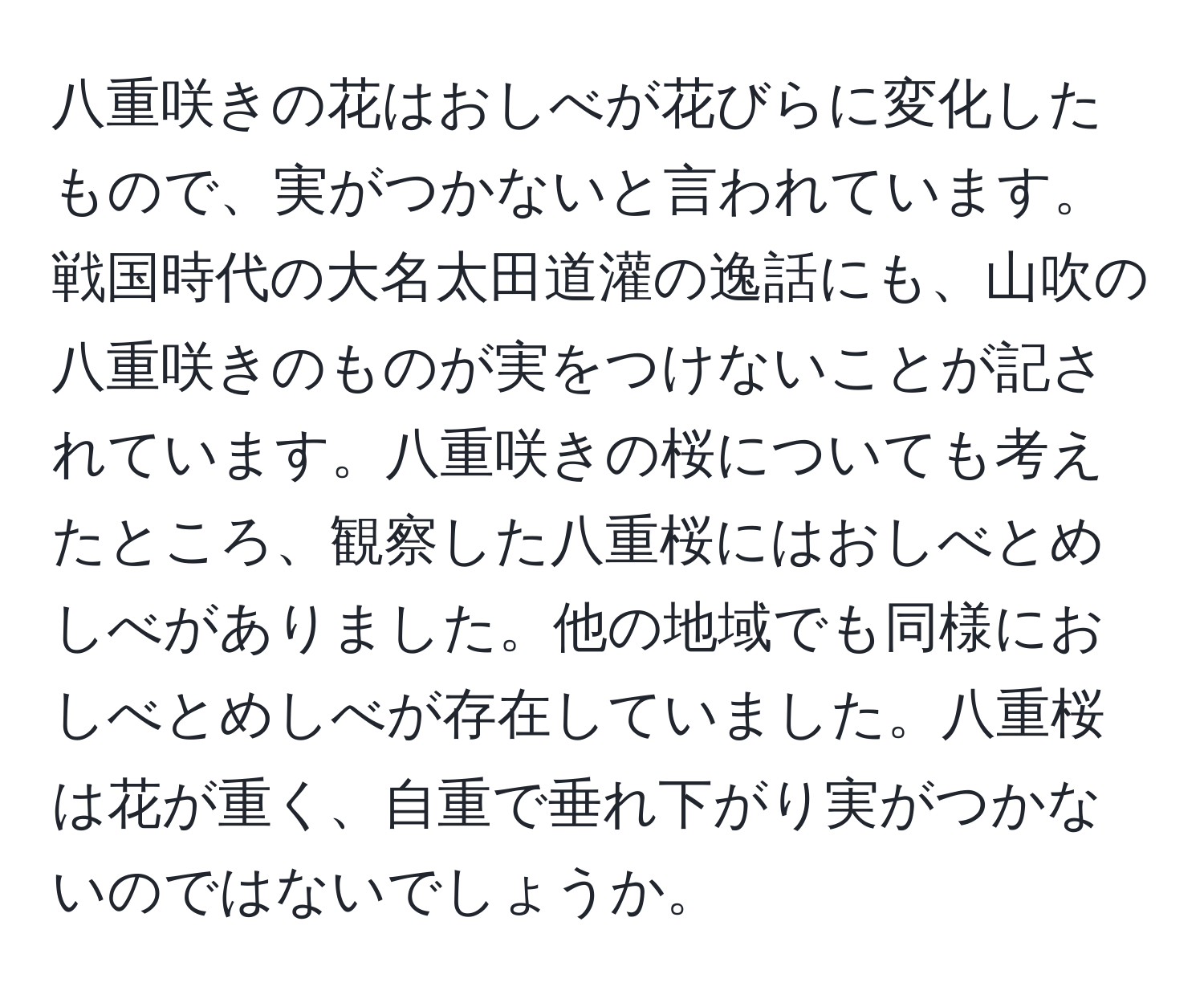 八重咲きの花はおしべが花びらに変化したもので、実がつかないと言われています。戦国時代の大名太田道灌の逸話にも、山吹の八重咲きのものが実をつけないことが記されています。八重咲きの桜についても考えたところ、観察した八重桜にはおしべとめしべがありました。他の地域でも同様におしべとめしべが存在していました。八重桜は花が重く、自重で垂れ下がり実がつかないのではないでしょうか。