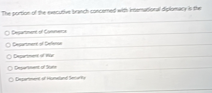 The portion of the executive branch concerned with international diplomacy is the
Department of Commence
Deparment of Deferse
Department of War
Depariment of State
Department of Homeland Security