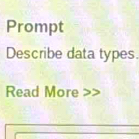 Prompt 
Describe data types. 
Read More