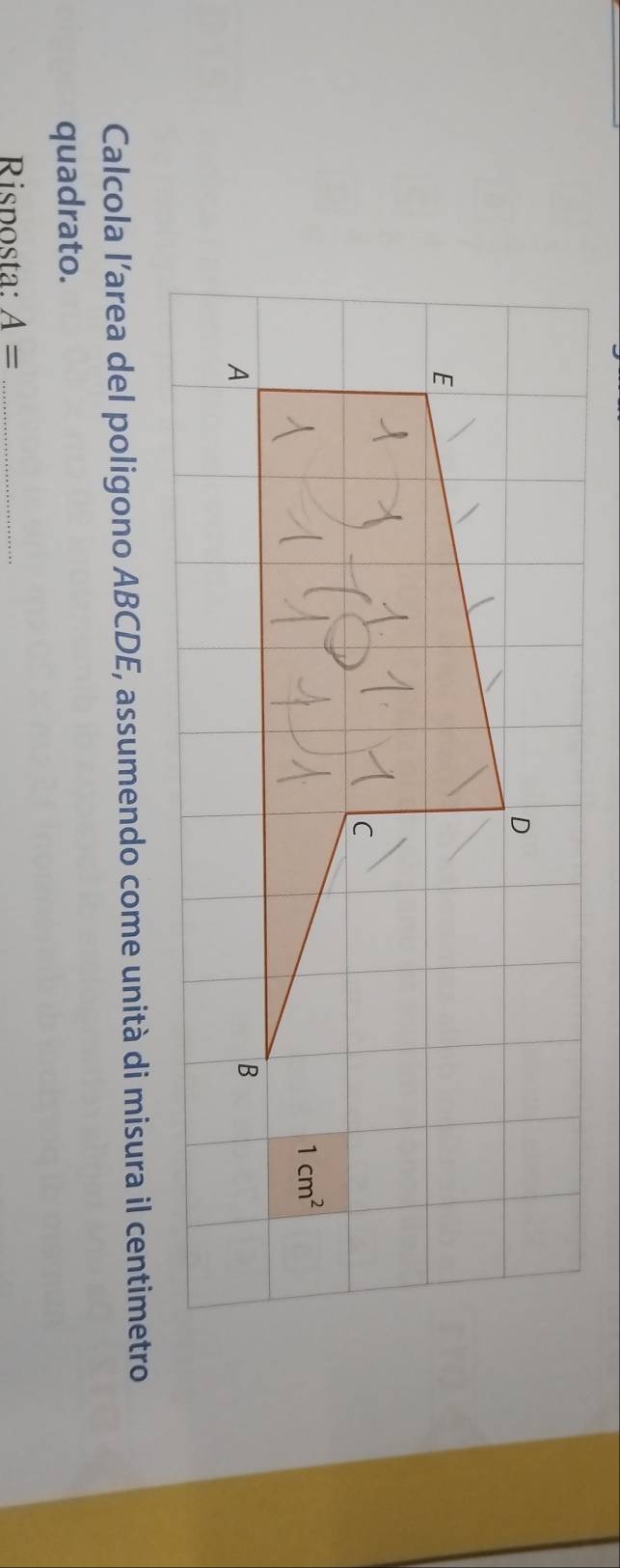 Calcola l’area del poligono ABCDE, assumendo come unità di misura il centimetro
quadrato.
Risposta: A= _