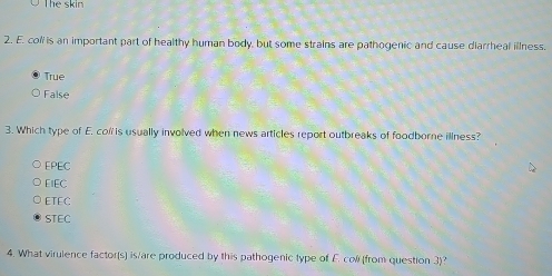 The skin
2. E. coll is an important part of healthy human body, but some strains are pathogenic and cause diarrheal illness.
True
False
3. Which type of E. col is usually involved when news articles report outbreaks of foodborne illness?
EPEC
EIEC
ETEC
STEC
4. What virulence factor(s) is/are produced by this pathogenic type of F. coll from question 3)?