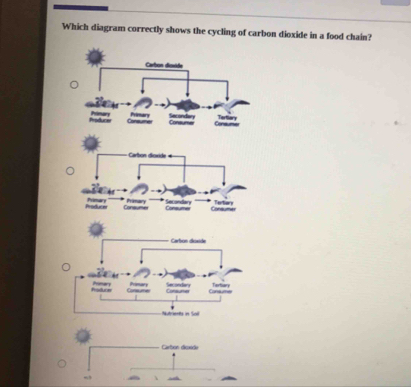 Which diagram correctly shows the cycling of carbon dioxide in a food chain? 
Carbon dicéde