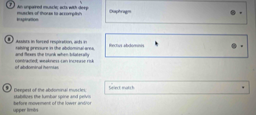 An unpaired muscie; acts with deep Diaphragm 
muscles of thorax to accomplish 
Inspiration 
8 Assists in forced respiration, aids in Rectus abdominis 
raising pressure in the abdominal area, 
and flexes the trunk when bilaterally 
contracted; weakness can increase risk 
of abdominal hernias 
9 Deepest of the abdominal muscles; Select match 
stabilizes the lumbar spine and pelvis 
before movement of the lower and/or 
upper limbs